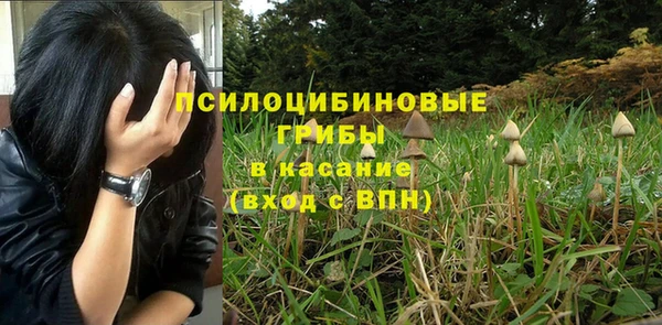 соль курить ск Верея