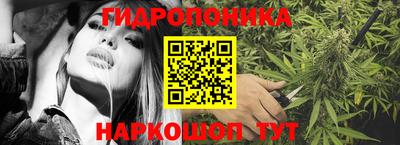 эйфоретик Будённовск