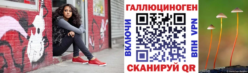 Галлюциногенные грибы Psilocybe Воткинск