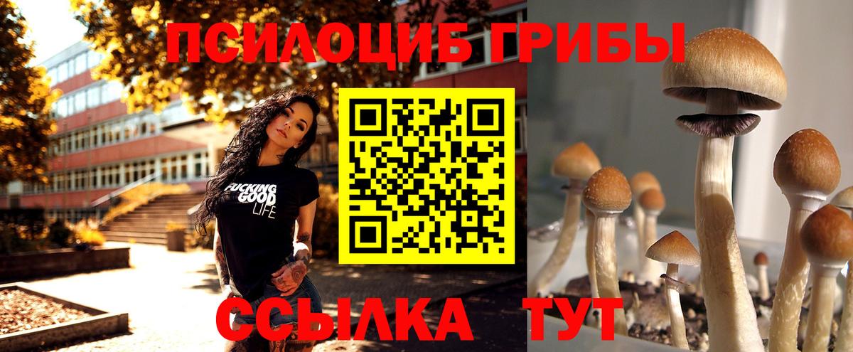Псилоцибиновые грибы прущие грибы Воткинск