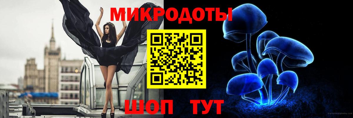 Воткинск  что такое наркотик  Вход с VPN  Псилоцибиновые грибы Psilocybe 